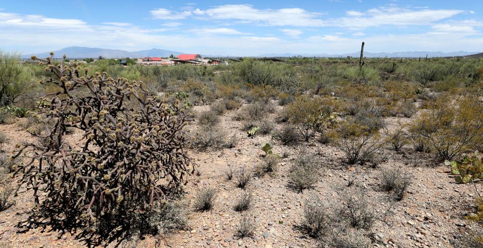 Santa Cruz development