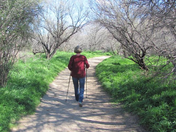 Hiker in green landscape