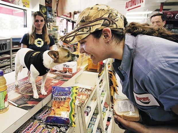 It's not the size of the dog in the drug fight ...  