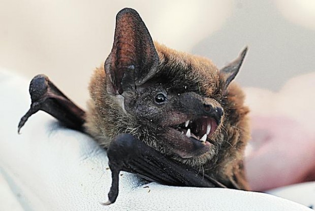 Caves keep growing despite long drought  