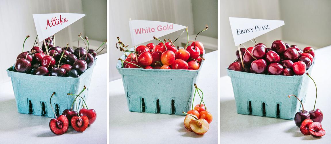 Hallstedt cherry varieties