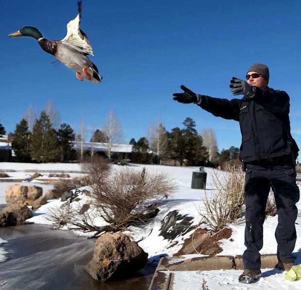 Animal shots of the week