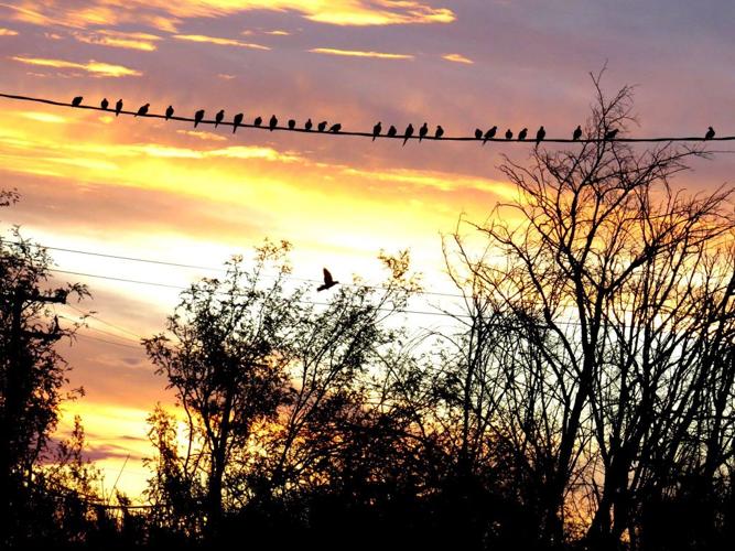 Monsoon photo contest