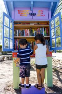 libraries neighborhoods popping