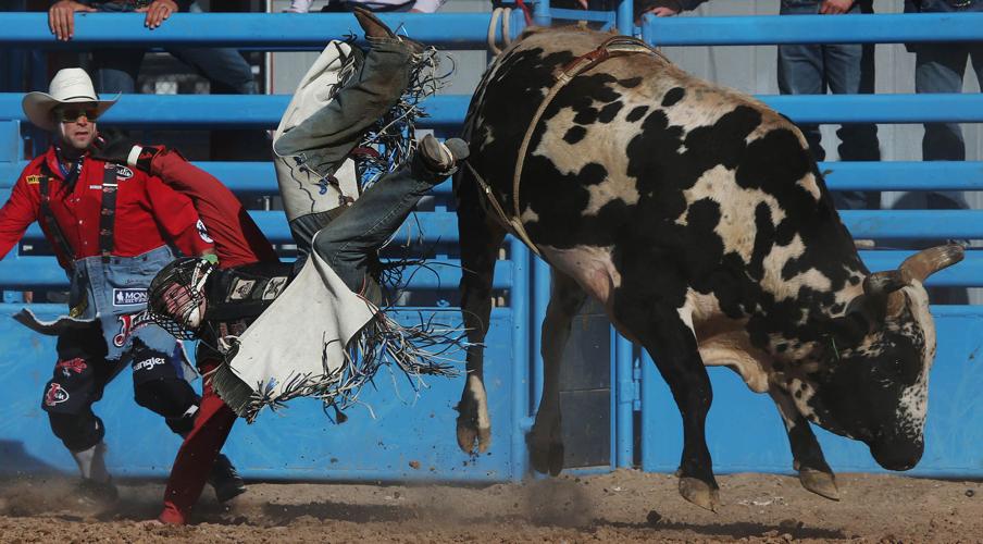 2016 La Fiesta de los Vaqueros