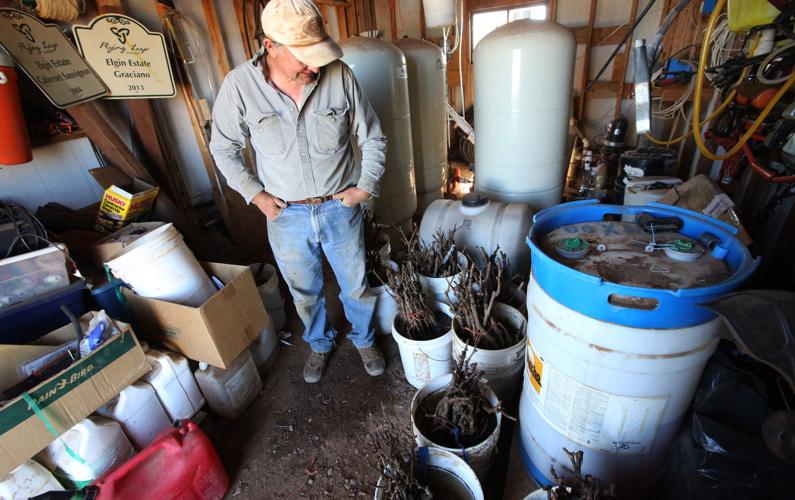 Flying Leap Vineyards