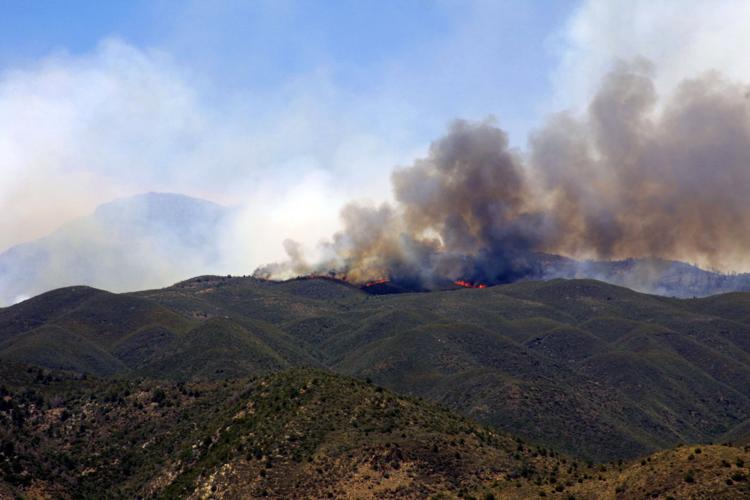 After the Wildfire