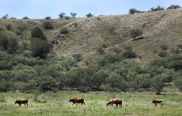 Rosemont Copper mitigation parcels