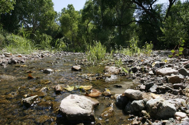 Cienega Creek