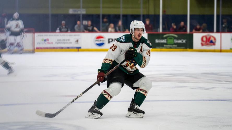 Cameron Hebig - Tucson Roadrunners