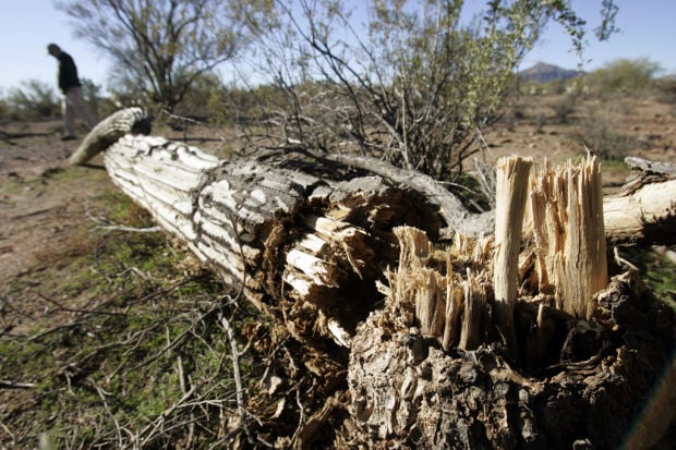 Target shooting banned at Ironwood Forest park    