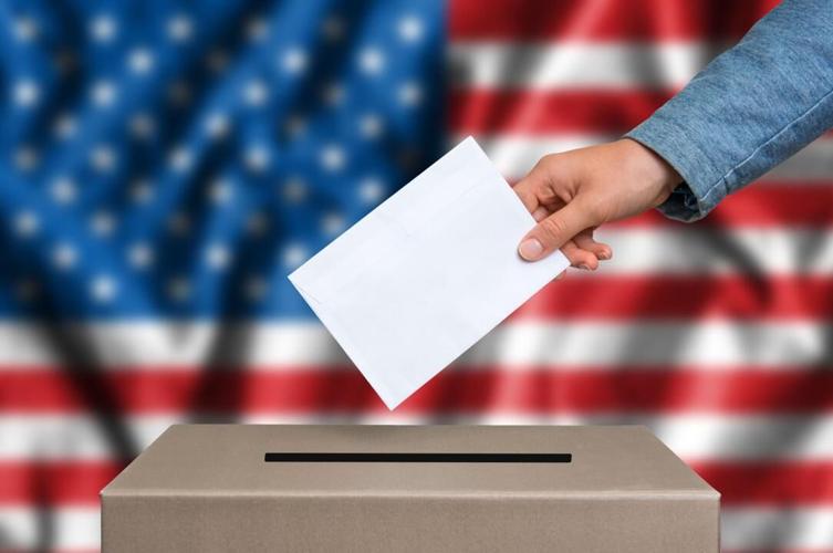 STK voting.jpg
