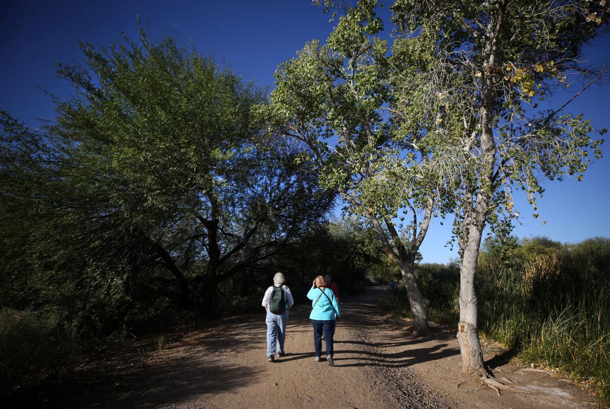 Sweetwater Wetlands