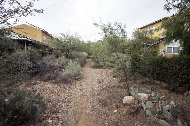 Sonora Cohousing Community