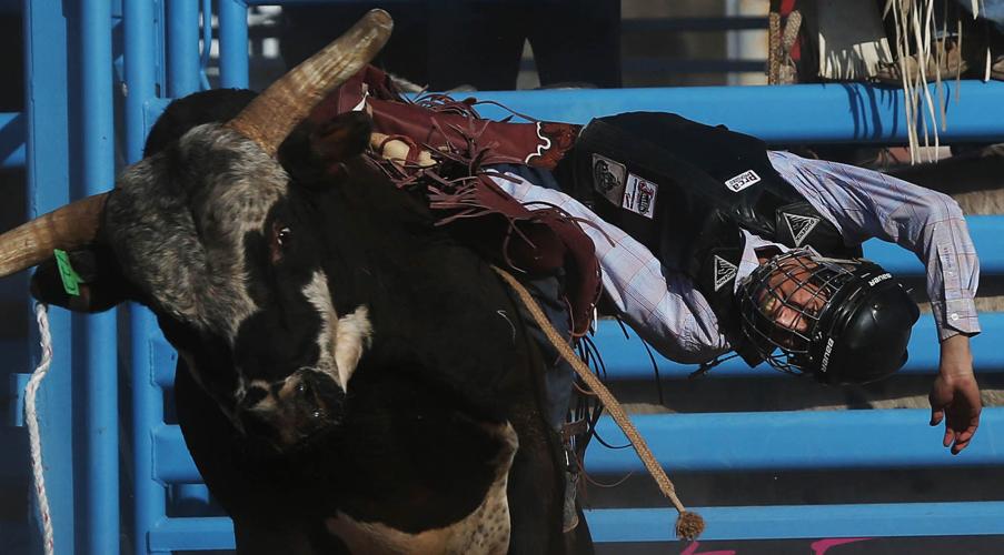 2016 La Fiesta de los Vaqueros