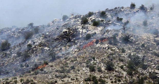 Wildfire in Catalinas grows to 240 acres; highway open