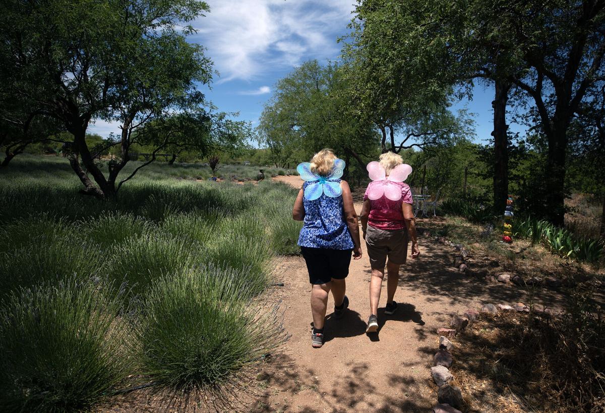 Life Under the Oaks Lavender Farm
