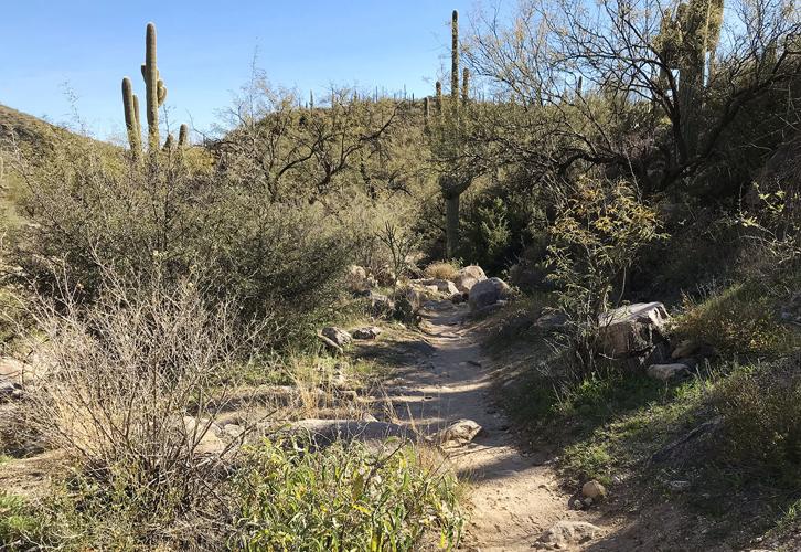 Green Rattlesnake Trail