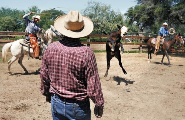 Branding Time on Alisos Ranch  