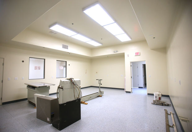 Wildlife rehabbers saving tiny lives