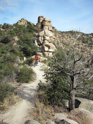 Trails on the eastern slopes of the Santa Catalina Mountains