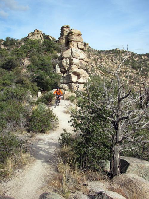Trails on the eastern slopes of the Santa Catalina Mountains