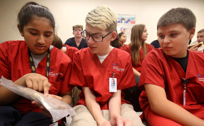 Students get a peek at body parts at Camp Scrubs
