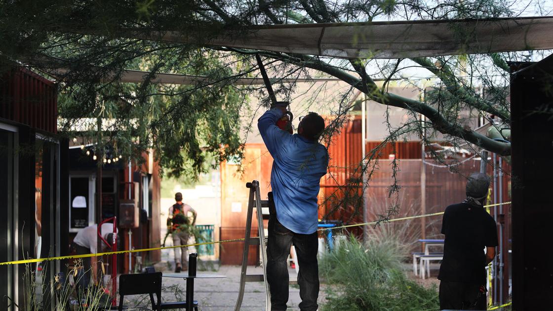 Photos: Monsoon Storm knocks down Palo Verde trees at MSA Annex west of Photos: Monsoon Storm knocks down Palo Verde trees at MSA Annex west of