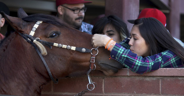 Horse racing at Rillito Race Track