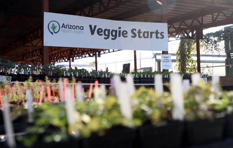 Arizona Worm Farm reduces food waste