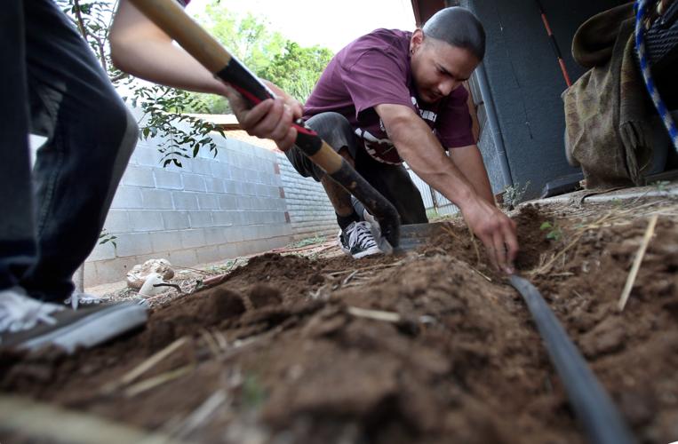 Flowers and Bullets (copy)
