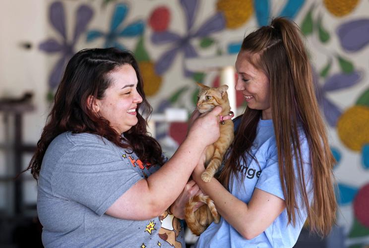Hunter's Kitten Lounge opens in Tucson | to do | tucson.com