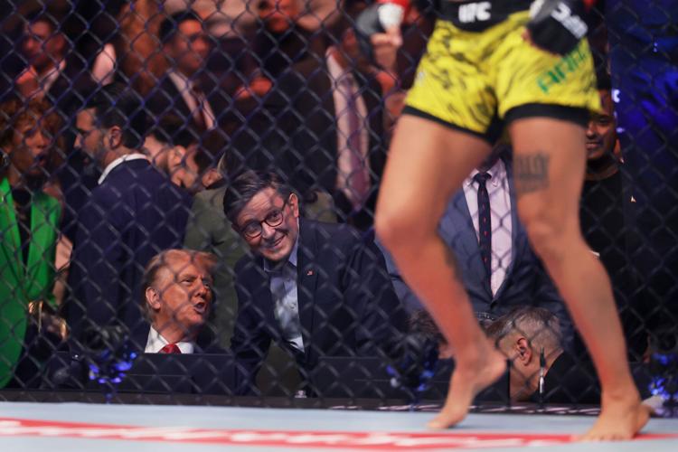 Trump UFC
