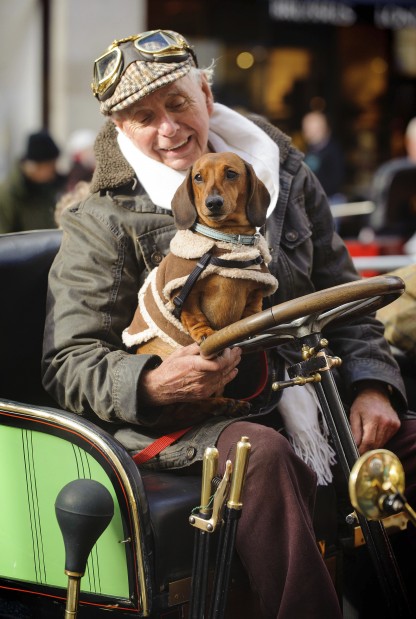 Animal shots of the week