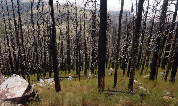 The Aspen Fire in 2003