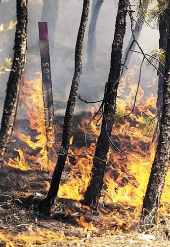 Mountains are cool, but what if there's fire?  
