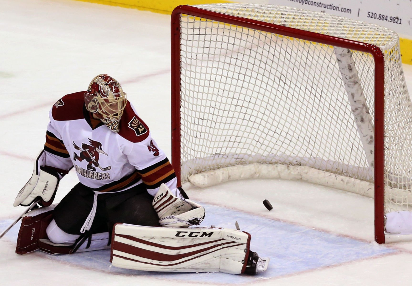 Photos: Tucson Roadrunners Vs. Texas Stars Hockey | Photography ...