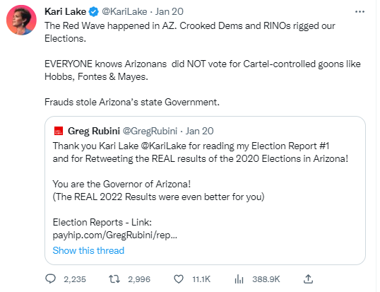 'The Red Wave happened,' Kari Lake claims