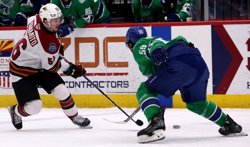 Roadrunners vs Abbotsford, AHL