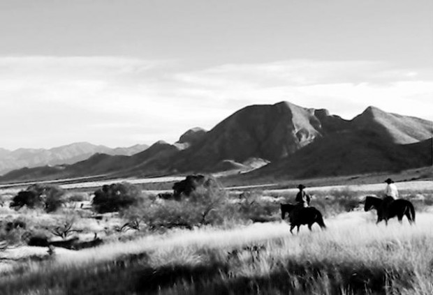 Pima County's new jewel is a grasslands bonanza  
