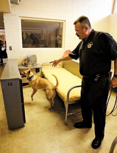 Dogs sniff out phones hidden by AZ inmates  