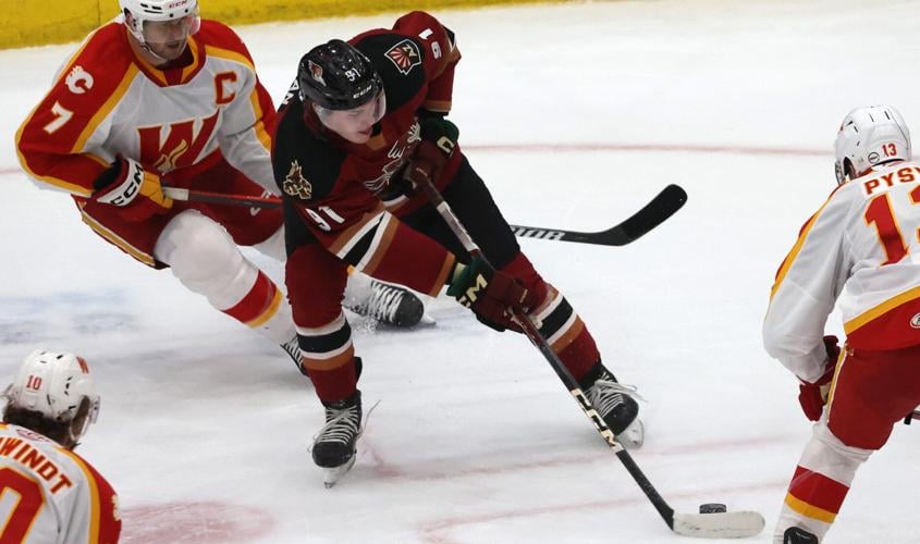 Roadrunners vs Calgary, AHL hockey (copy)