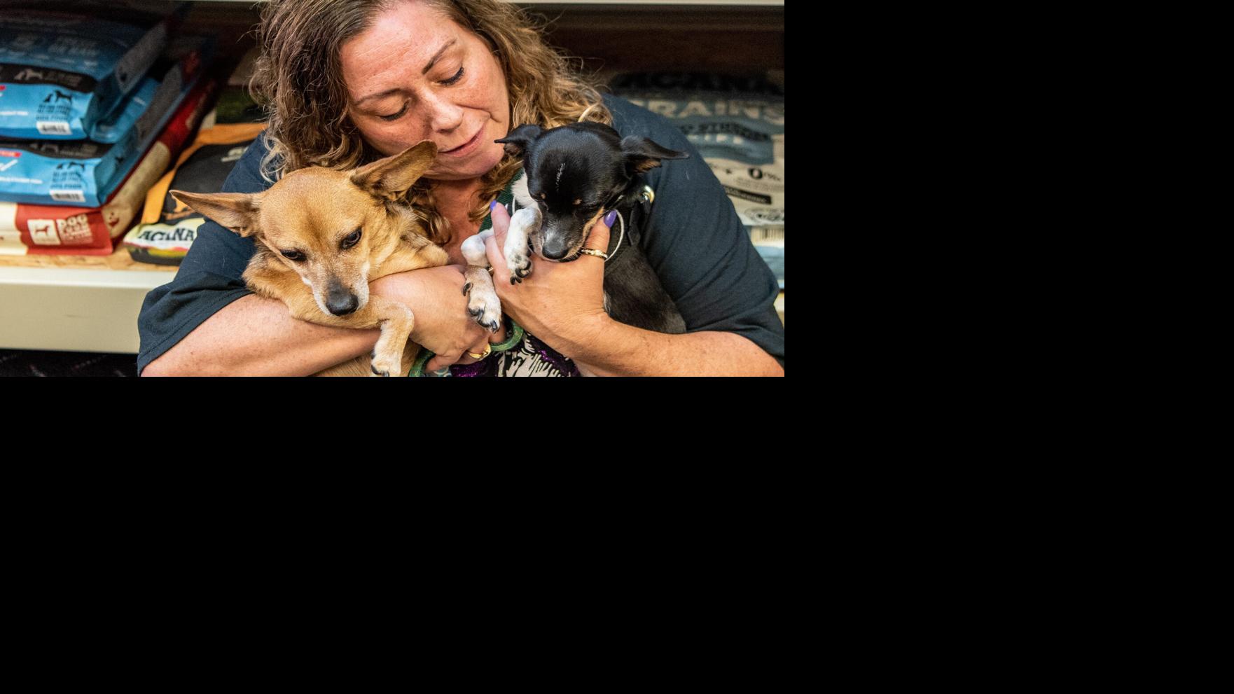 The rise of pet inheritances and why more owners are planning ahead