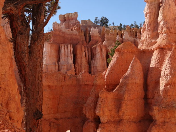 National Park Travel Photo Contest entries
