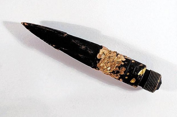 Projectile in whale's blubber dates from 1890 hunt  