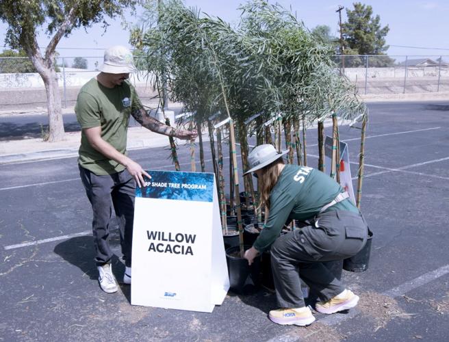Group seeks to increase Phoenix area tree canopy coverage