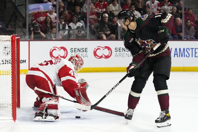 Red Wings Coyotes Hockey