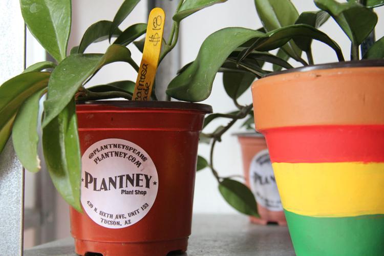 Plantney