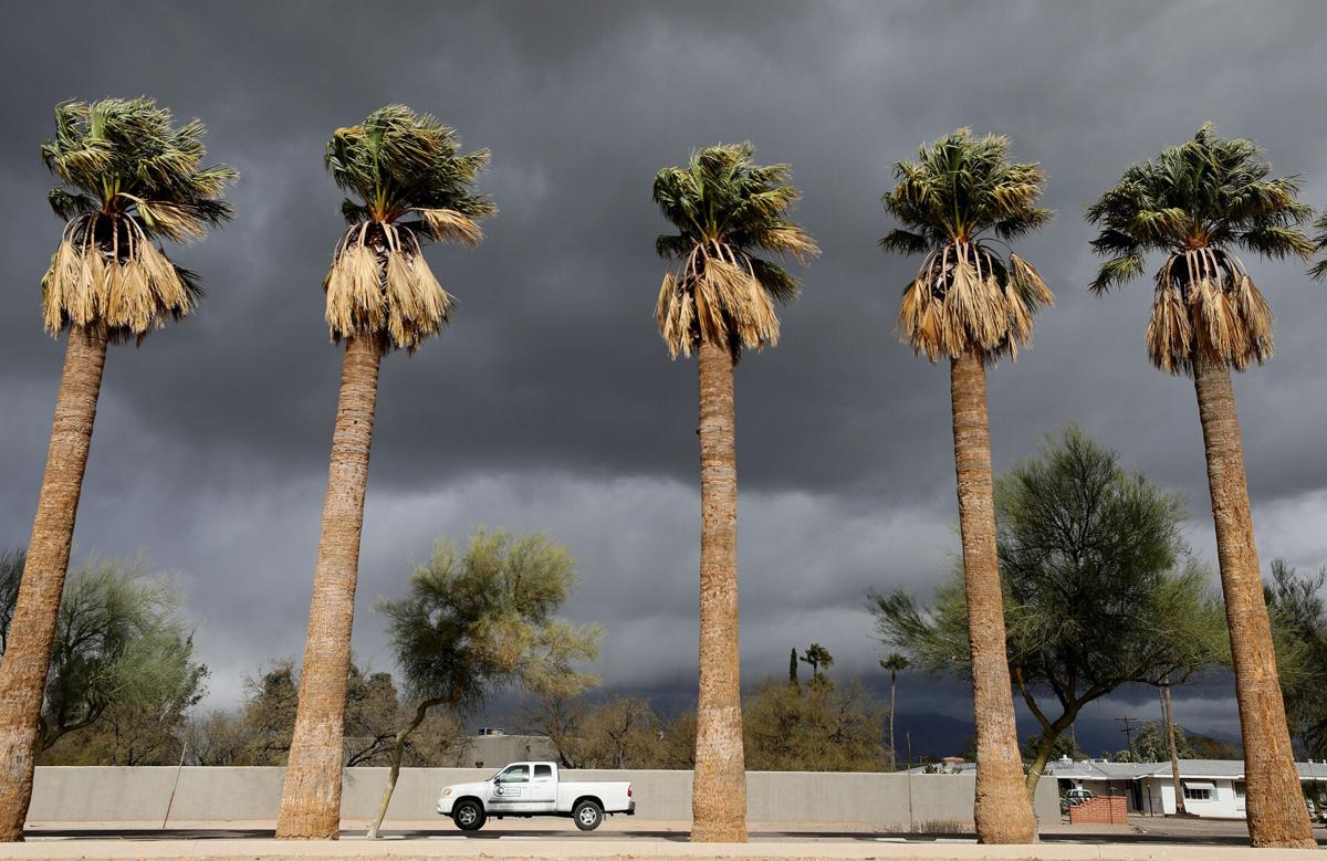 Winter weather in Tucson