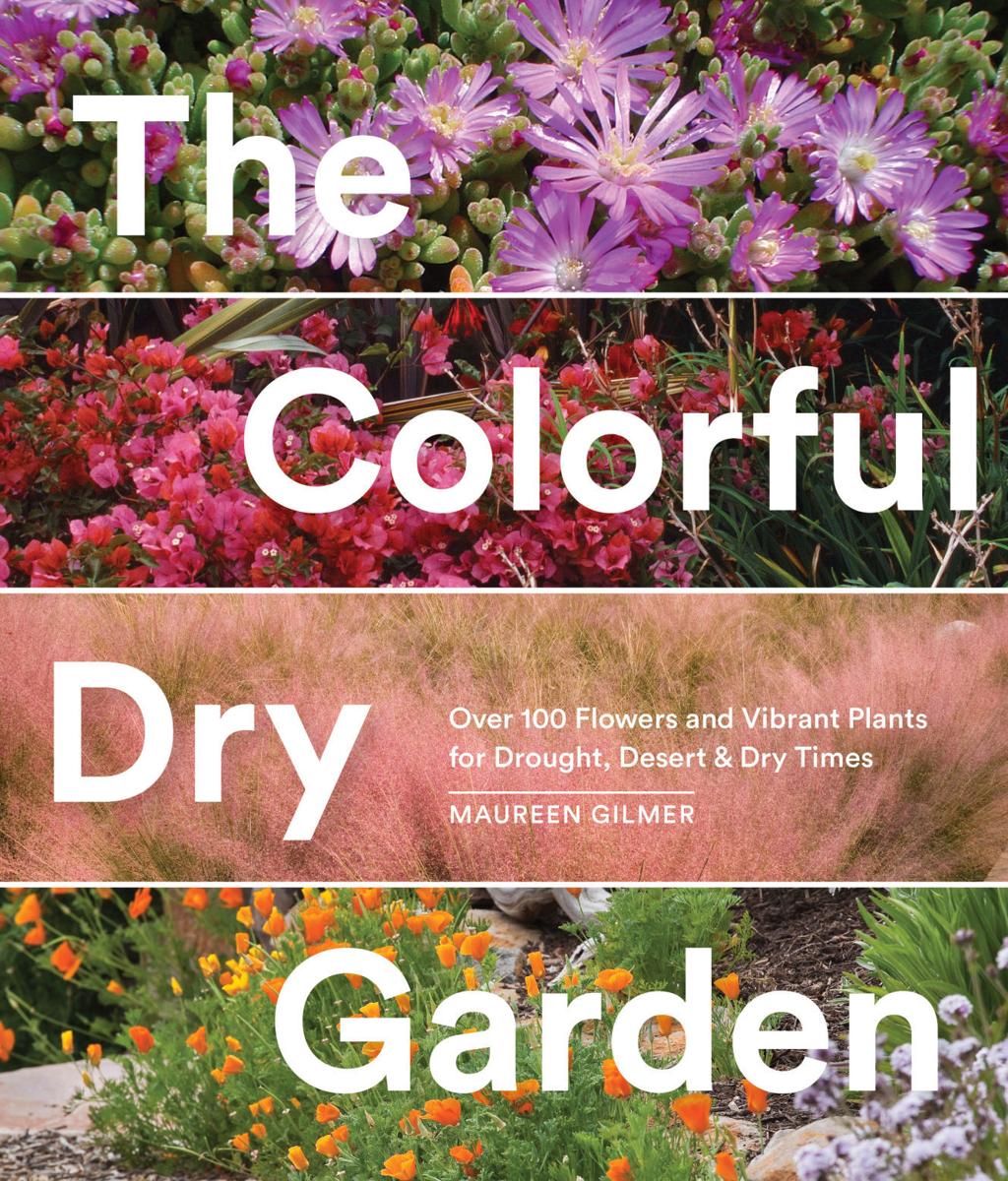 New Tucson Related Gardening Books Including The Colorful Dry Garden Home Garden Tucson Com